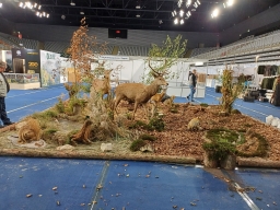 557430185_1367471585383499_3289673560477636411_n